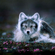 Illustration for article titled Vote Arctic Fox, Vote Magical Floof
